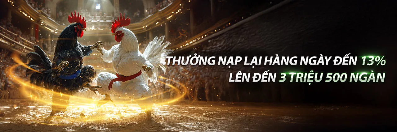 Đá gà trực tuyến Sodo99 nhà cái